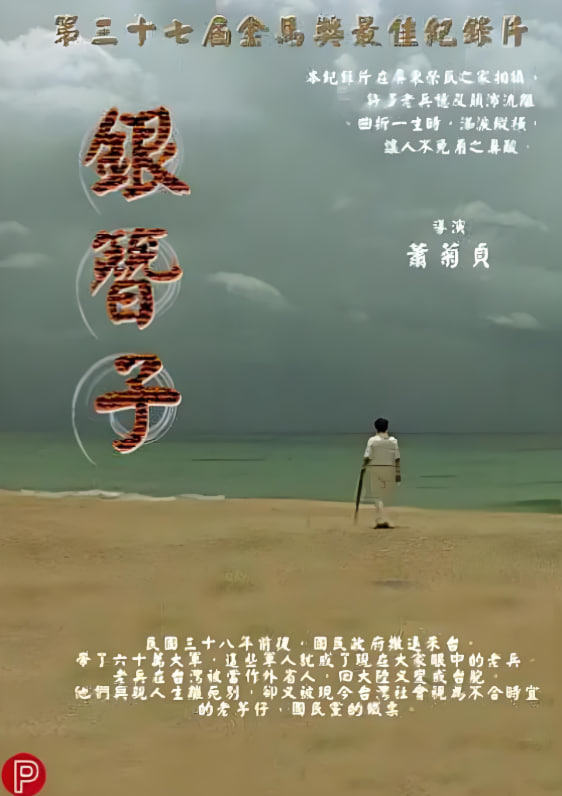 银簪子封面图