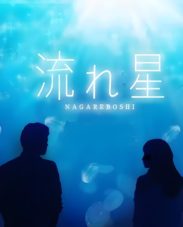 流星封面图