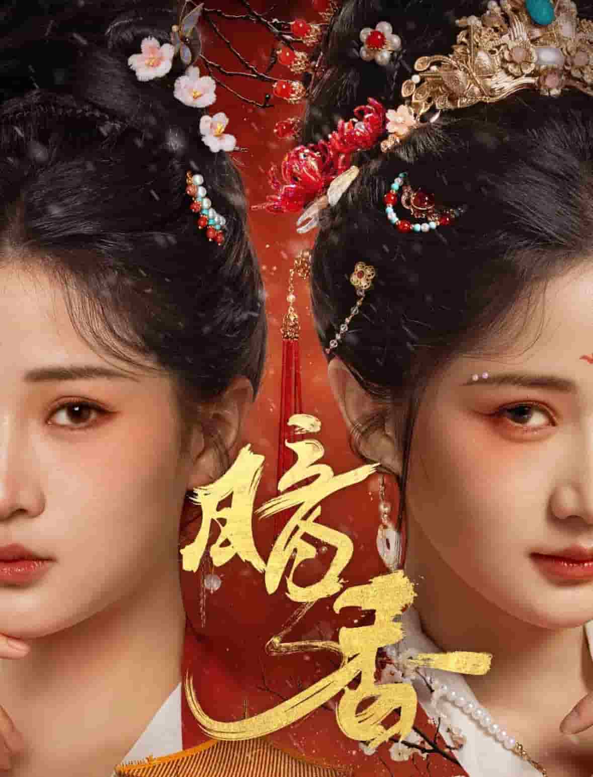 暗香（短剧版）封面图