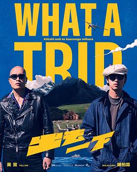 出去一下What A Trip封面图