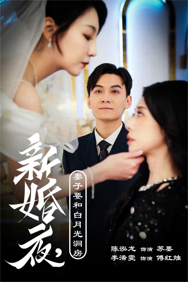 新婚夜，妻子要和白月光洞房（礼尚往来）封面图