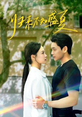 归来不知盛夏封面图
