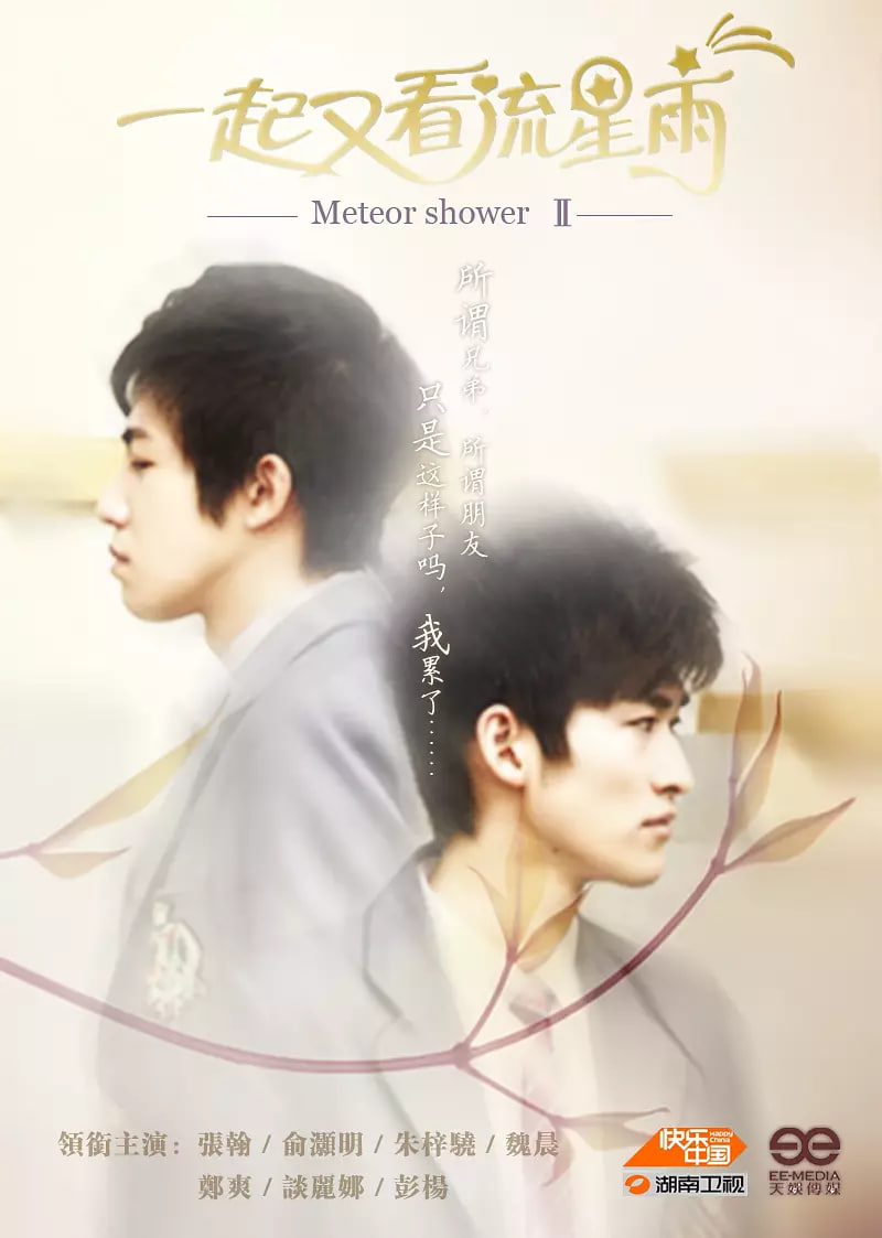 一起来看流星雨 2010封面图
