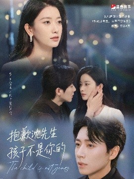 抱歉沈先生孩子不是你的封面图