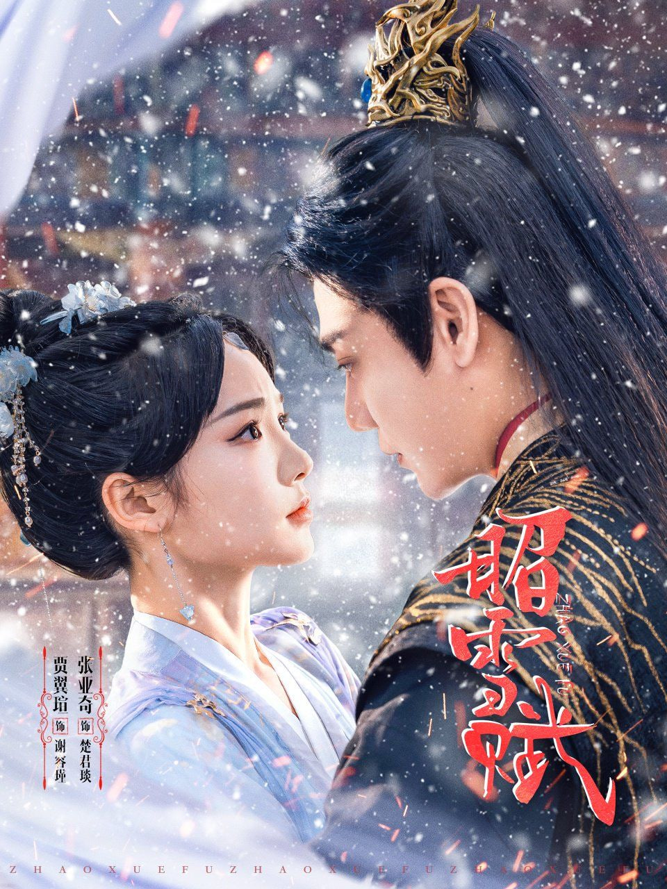 昭雪赋封面图