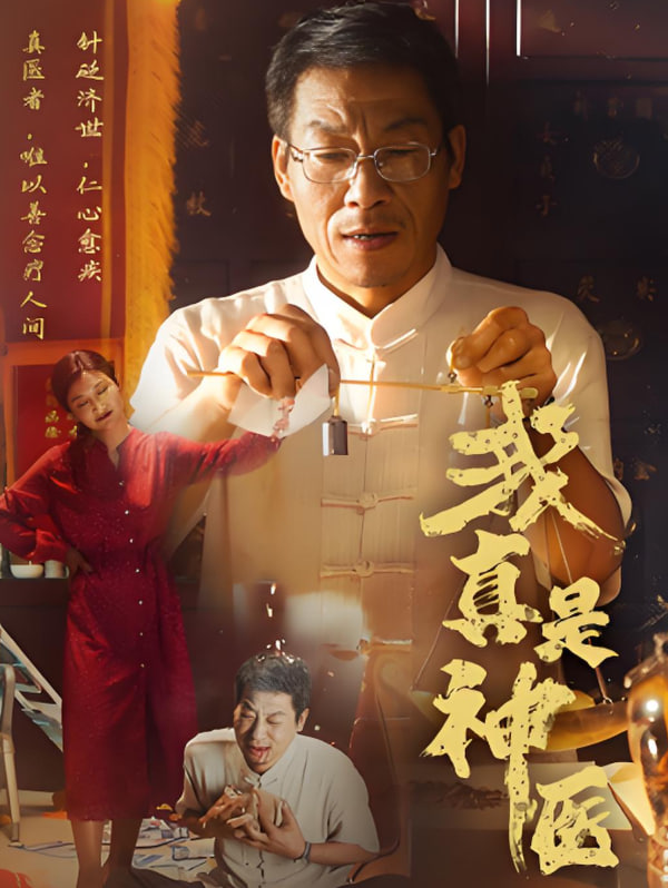 我真是神医封面图