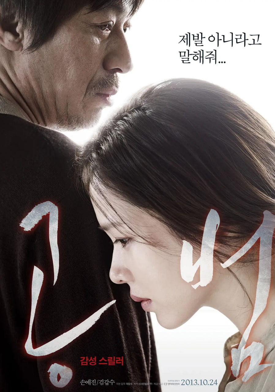 共犯 2013封面图