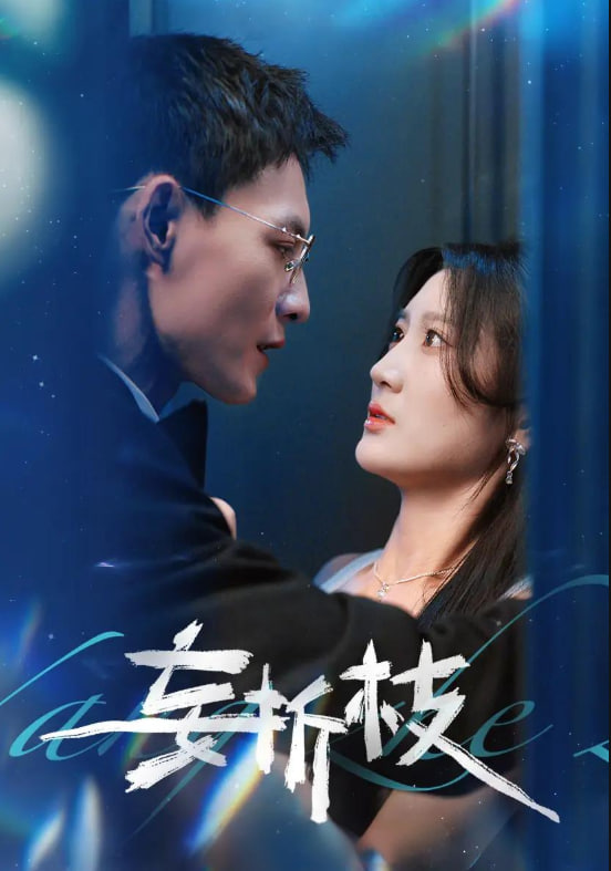 妄折枝封面图