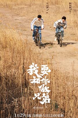我要和你做兄弟封面图