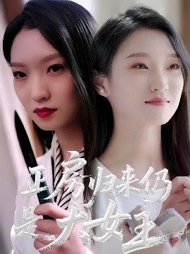 正房归来仍是大女主封面图