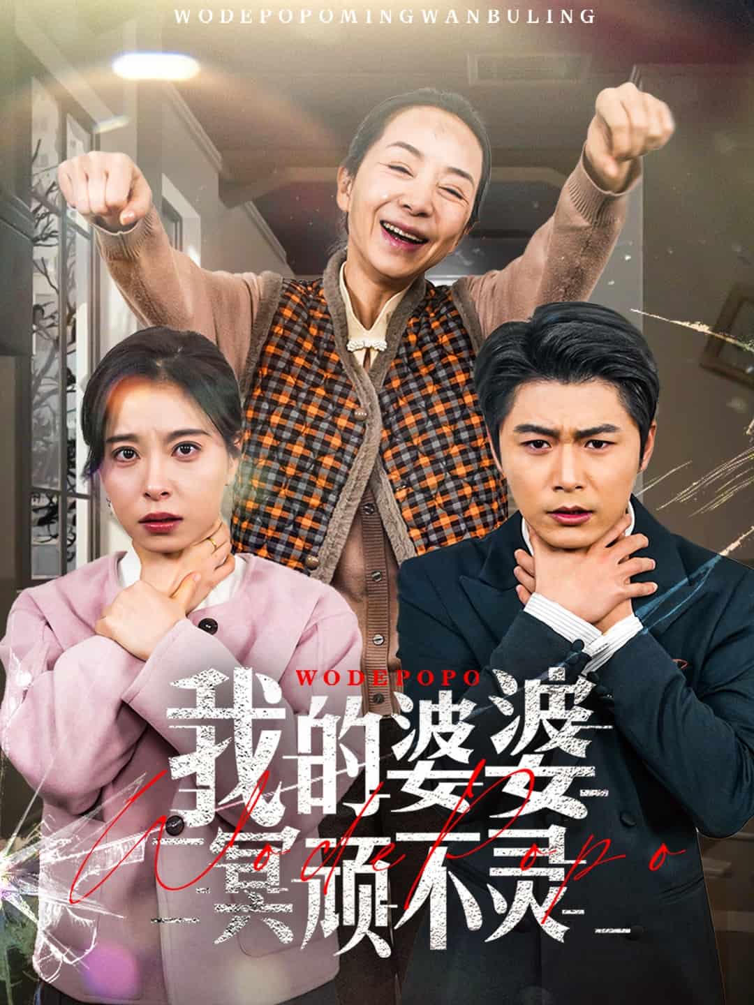 好心婆婆之事与愿违封面图