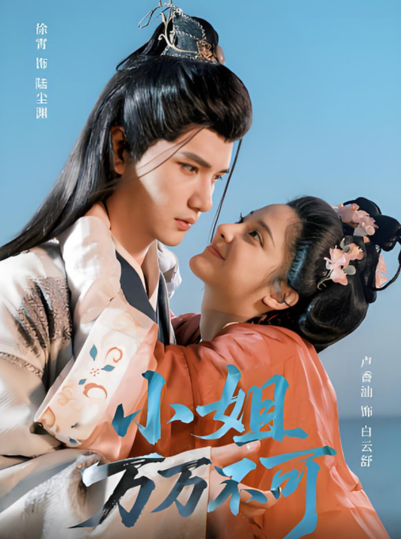 小姐万万不可封面图