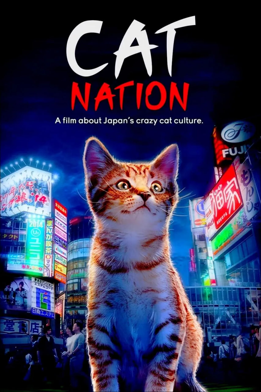 猫咪国度封面图