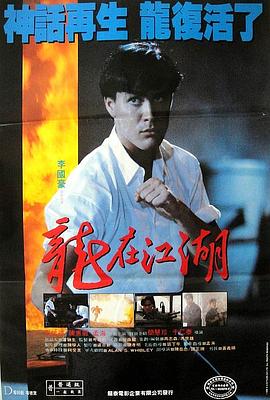 龙在江湖1986国语封面图