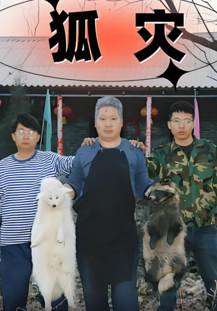 狐灾封面图