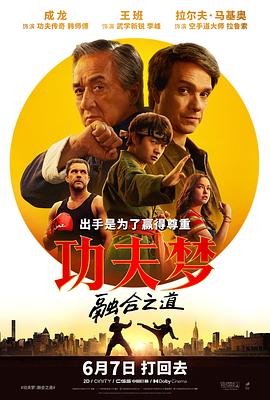 功夫梦：融合之道封面图