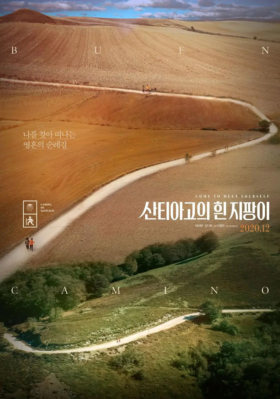 圣地亚哥的白拐杖封面图