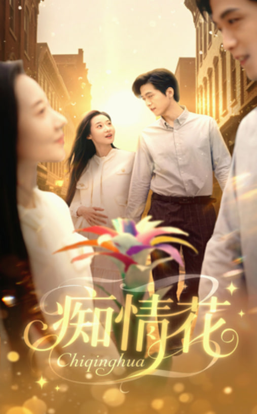痴情花封面图