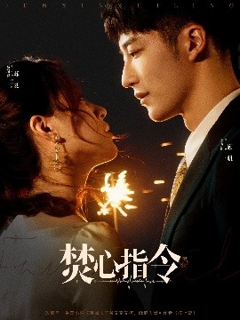 焚心指令封面图