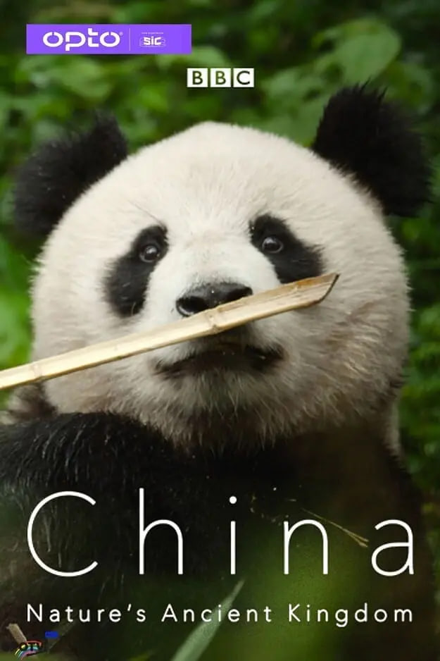 中国：大自然的古老王国 第一季封面图